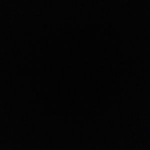 Meet your Posher, Larry